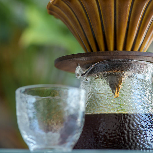 咖啡小知識|咖啡豆4大處理法get!