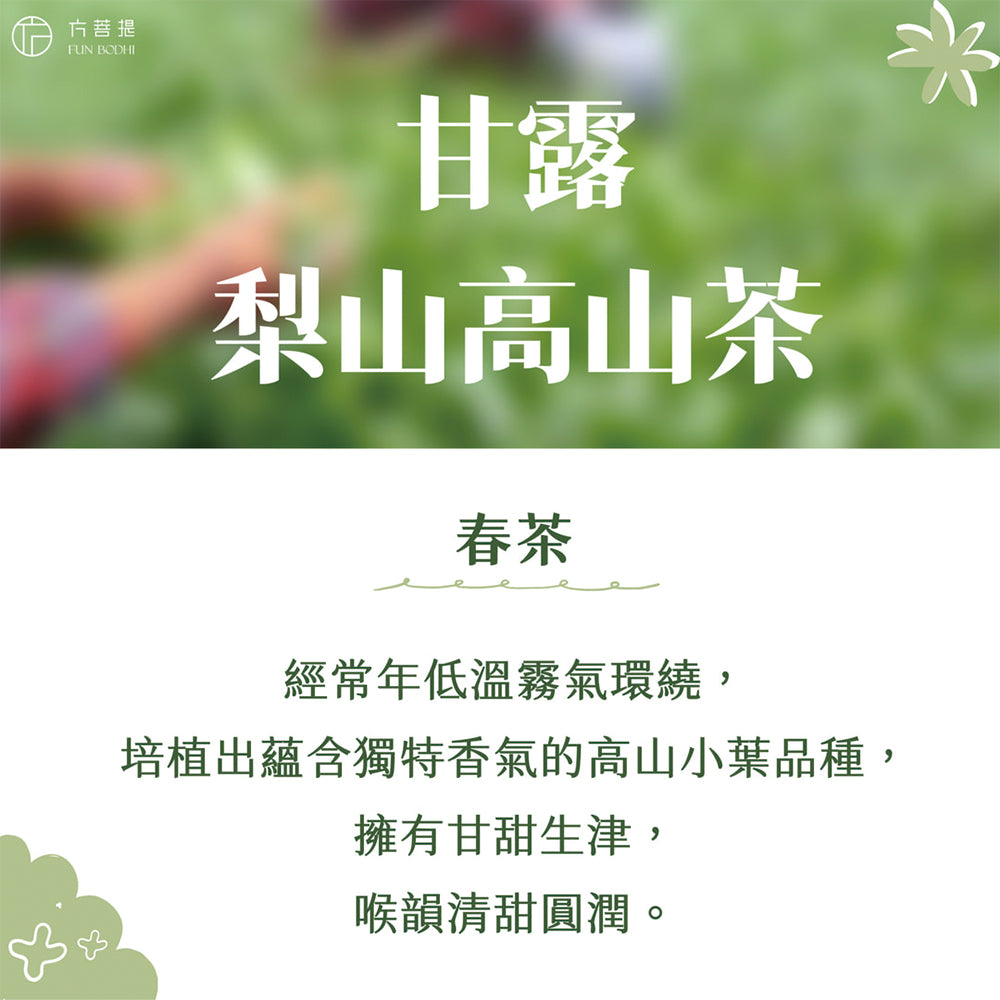 梨山甘露高山烏龍茶|春茶