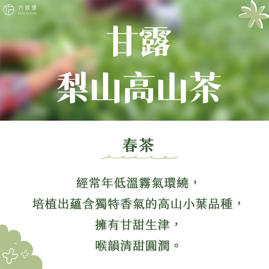 梨山甘露高山烏龍茶|春茶