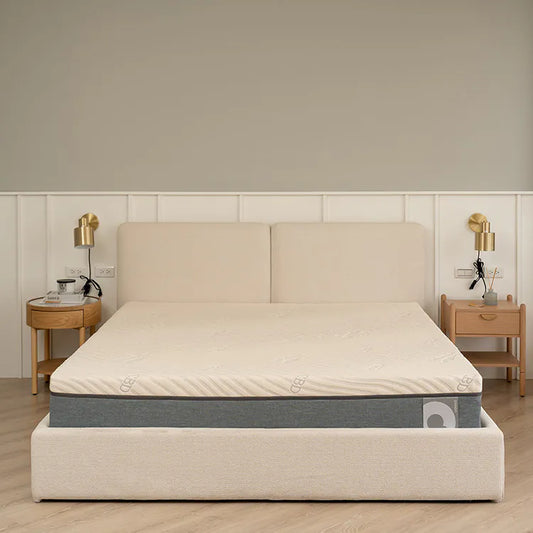 QSHION 溫控釋壓防螨雙人床墊/高24CM