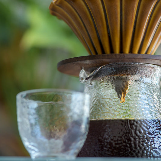 FUN083 哥斯大黎加 聖徒莊園 水洗 (一磅460g)