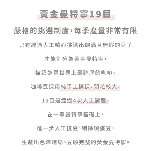 FUN080 印尼黃金曼特寧19目 水洗(300g)