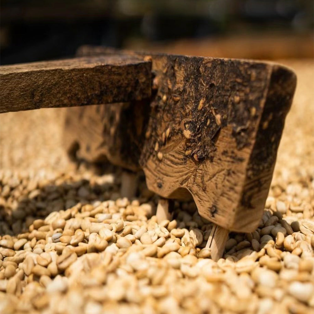 FUN076 頂呱呱 宏都拉斯 阿瓜莊園 水洗 (一磅460g)