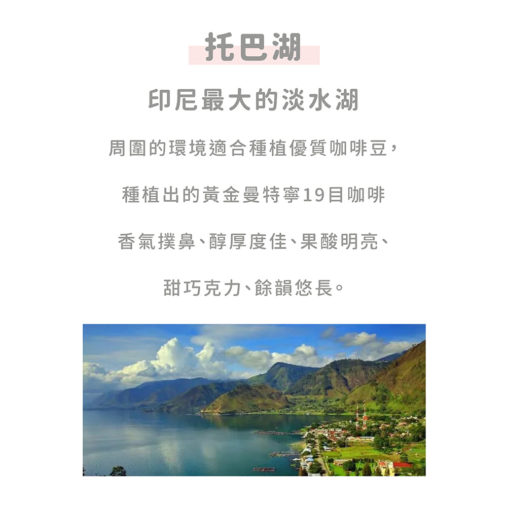 FUN080 印尼黃金曼特寧19目 水洗(300g)