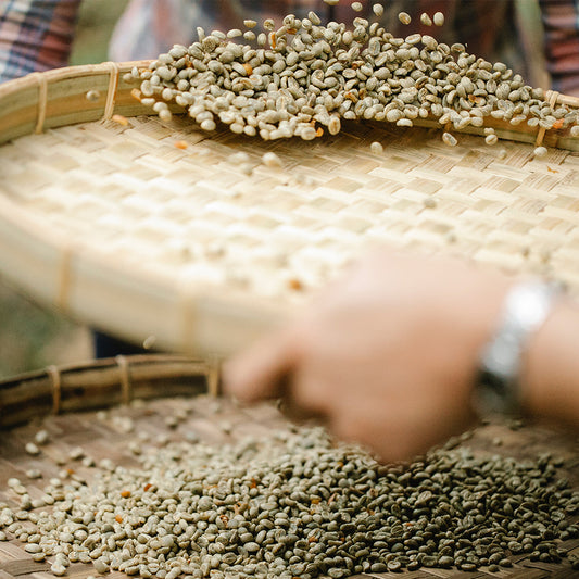 FUN079 衣索比亞 古吉罕貝拉 厭氧日曬 (一磅460g)