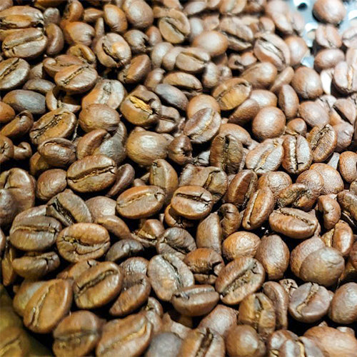 FUN005 滿天星 瓜地馬拉 翹鬍子莊園 (一磅460g)