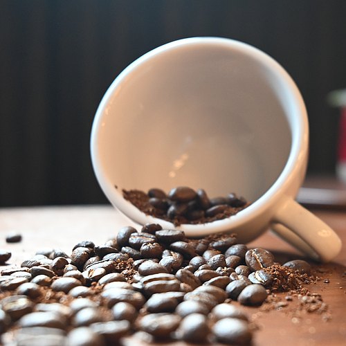 FUN081 微醺森林 瓜地馬拉 愛貝斯莊園 蜜處理 (一磅460g)