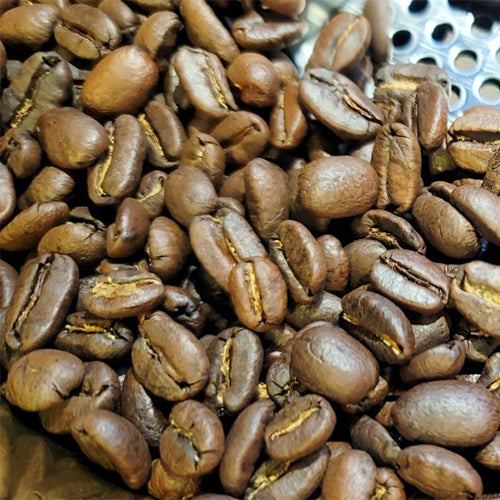 FUN045 野生麝香貓 印尼 水洗 (300g)