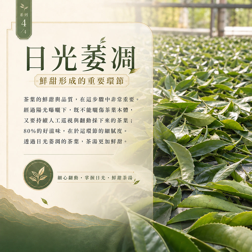 阿里山玉樹臨風 高山烏龍茶