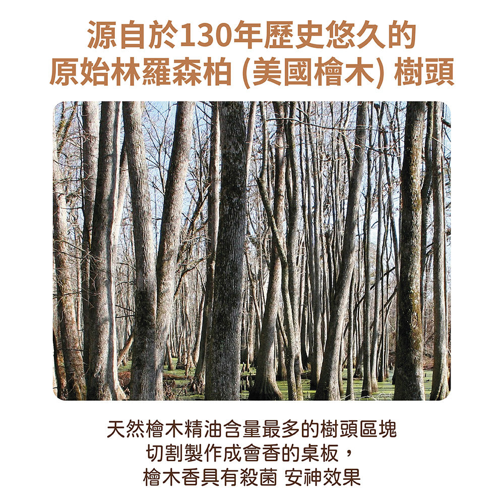 氣壓式升降桌|美國檜木 CYP