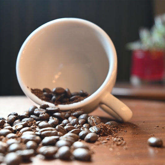 FUN051 哥斯大黎加 塔拉珠 羅馬莊園 低溫厭氧黑蜜 (一磅460g)