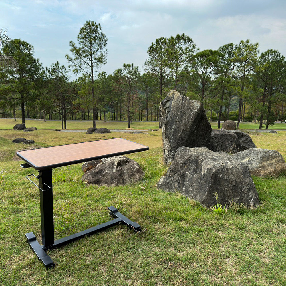 氣壓式升降桌|黃金柚蜜805