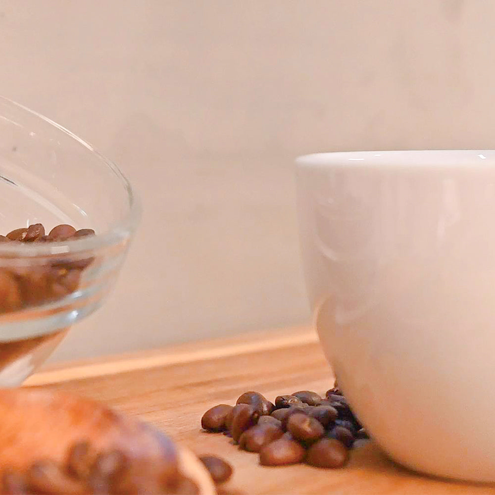 FUN065 MR.AGUA 瓜地馬拉 薇薇特南果 厭氧蜜 (一磅460g)