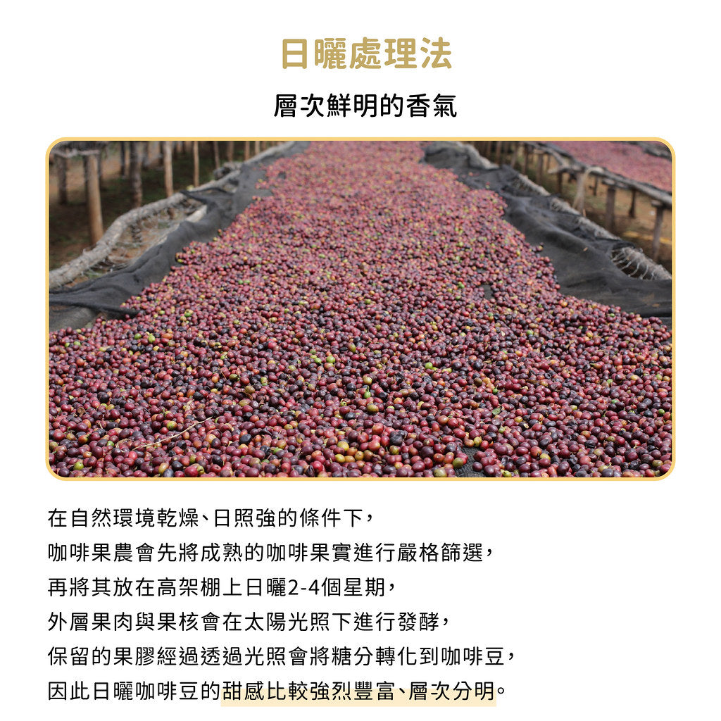 FUN055 伊麗莎白 卡杜艾 瓜地馬拉 貝拉伊麗莎白莊園 日曬 (一磅460g)