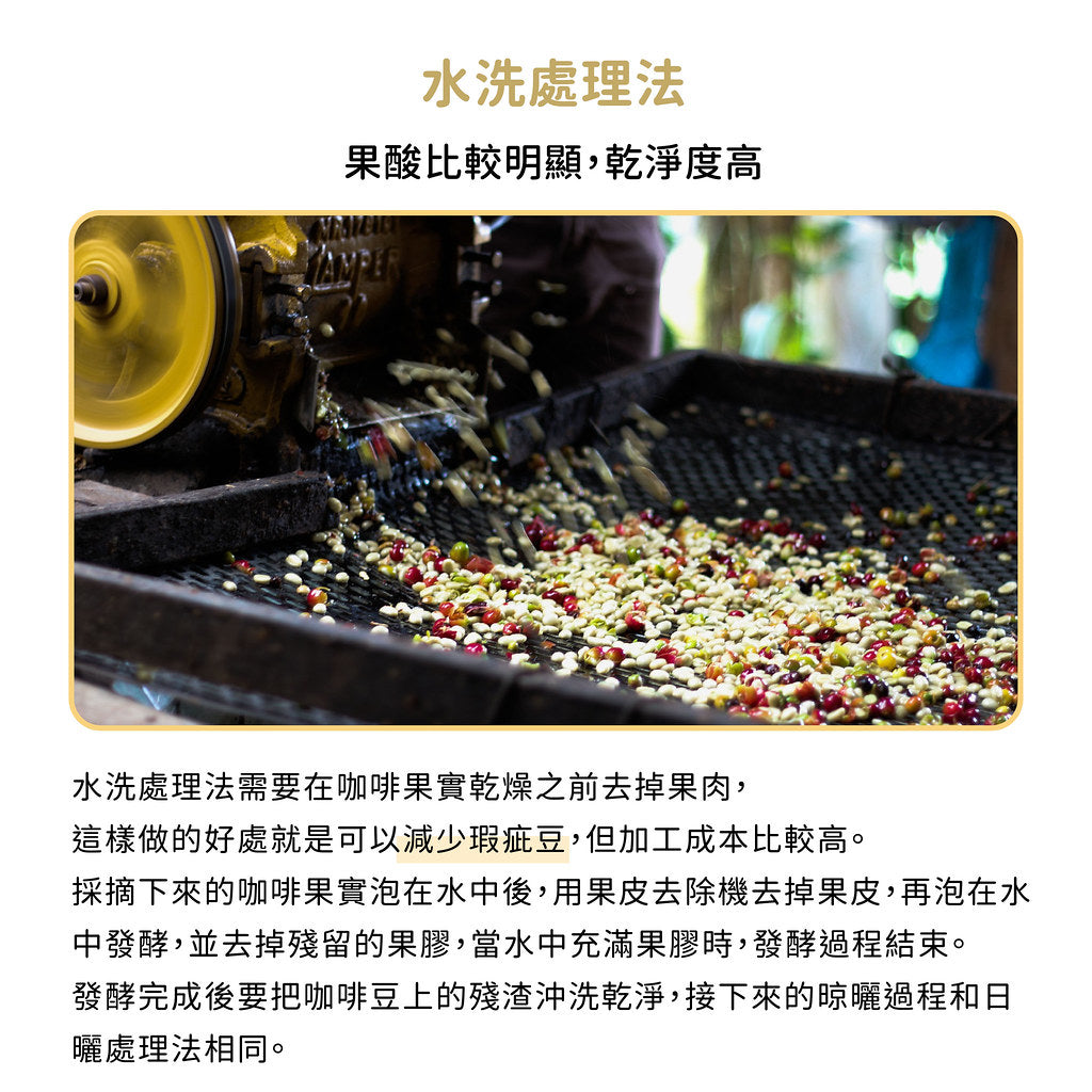 FUN057 聖特雷沙溫泉咖啡 薩爾瓦多 聖特雷沙溫泉 溫泉水洗 (一磅460g)