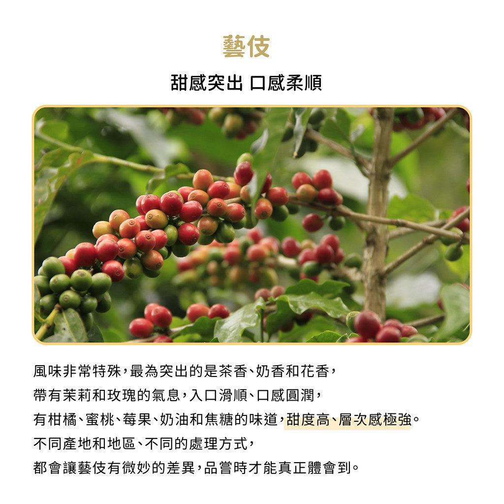 FUN052 瓜地馬拉 美麗莊園 藝伎 水洗 (300g)