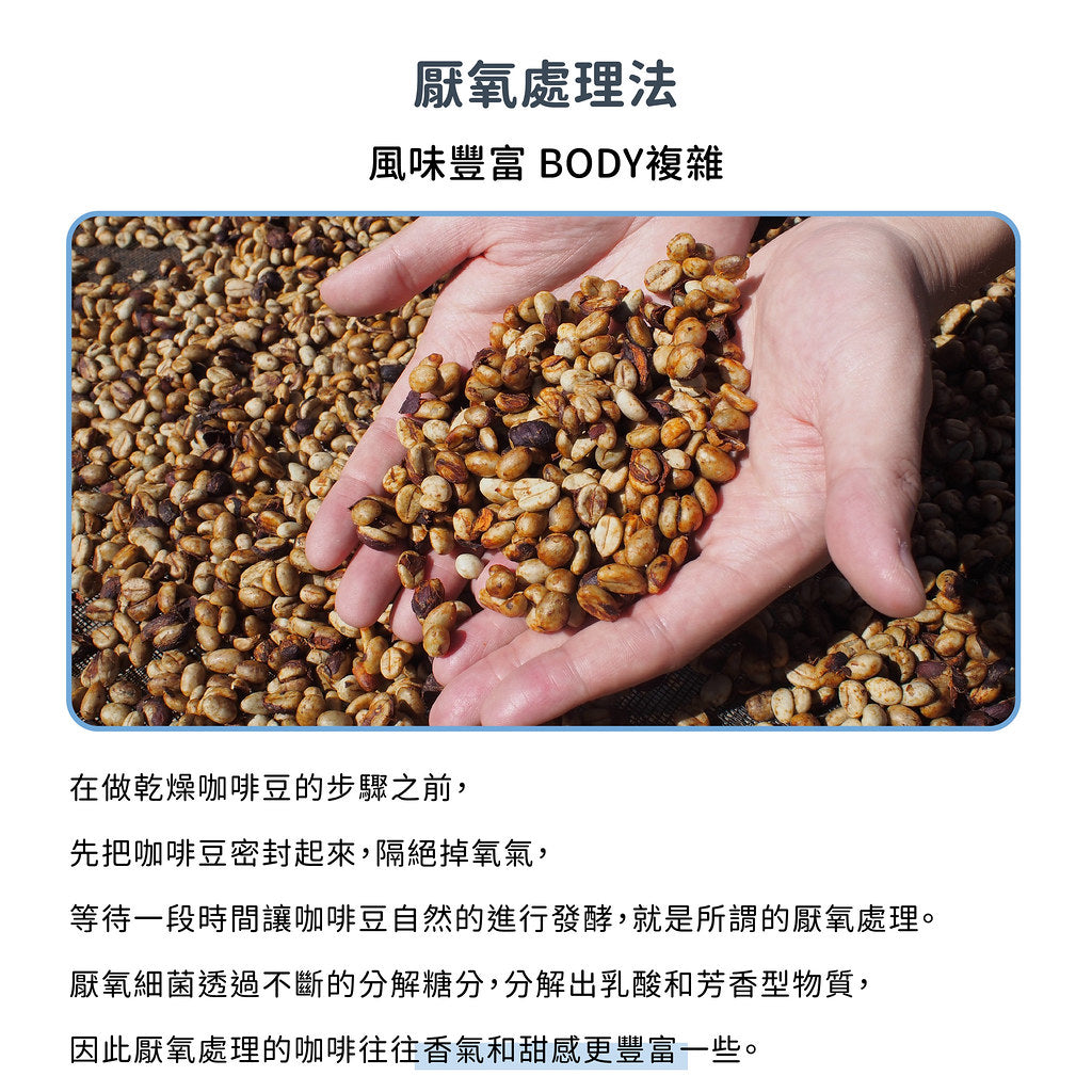 FUN062 衣索比亞 班莎花藏 厭氧蜜處理 (一磅460g)