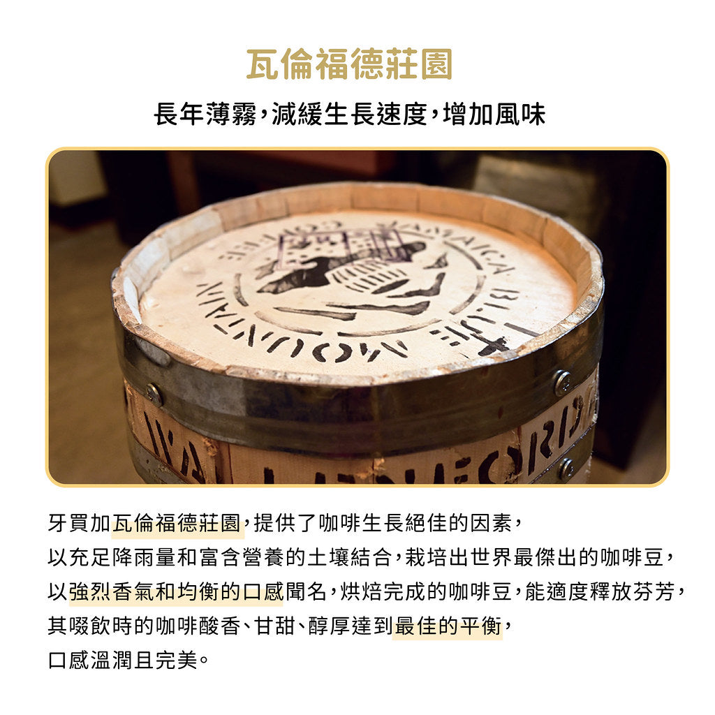 FUN046 牙買加 藍山 瓦倫福德莊園NO.1+ 水洗 (300g)