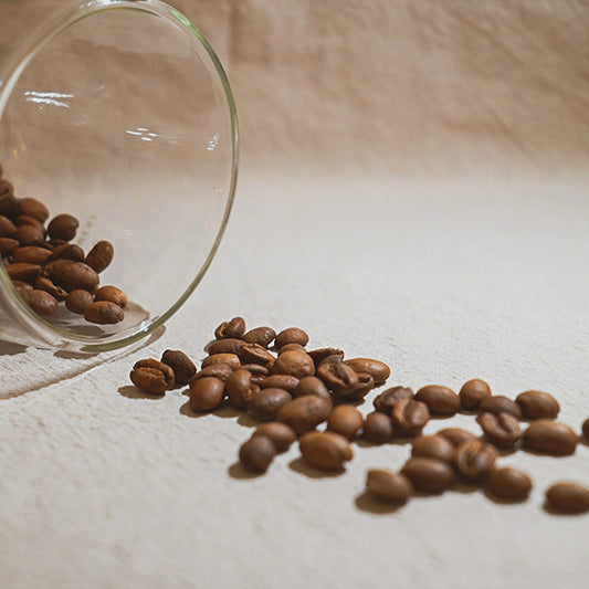 FUN055 伊麗莎白 卡杜艾 瓜地馬拉 貝拉伊麗莎白莊園 日曬 (一磅460g)