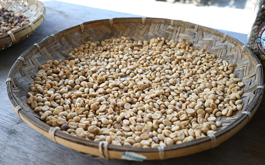 咖啡瑕疵豆是什麼？為什麼壞豆會影響整杯咖啡風味？