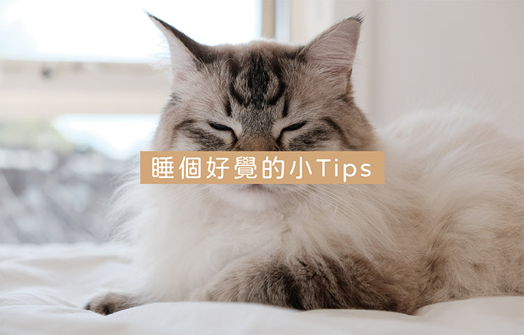 睡個好覺的小Tips