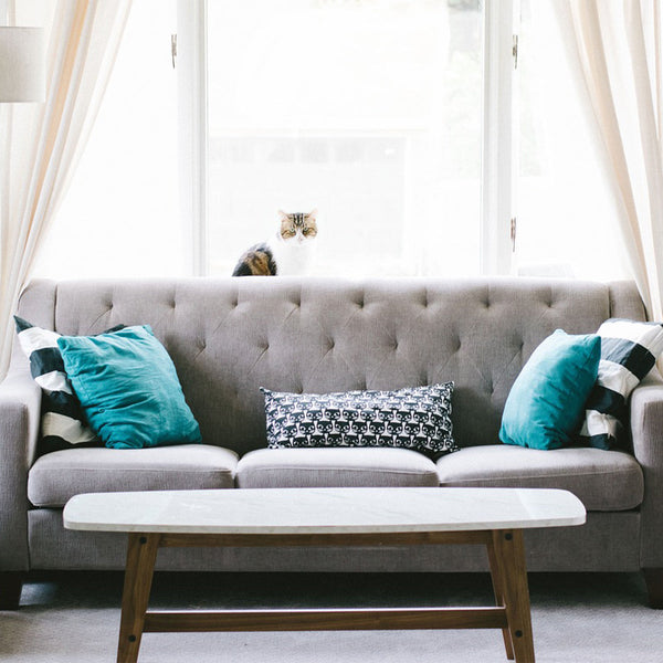 老了之後，熟悉的家還安全嗎？