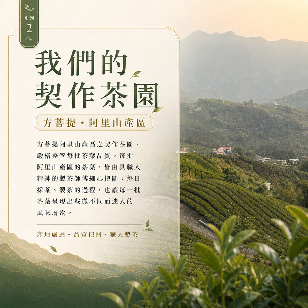 阿里山玉樹臨風 高山烏龍茶