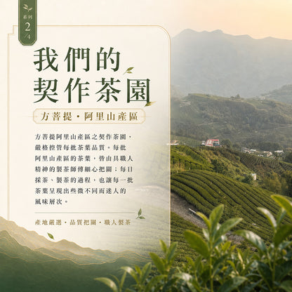阿里山玉樹臨風 高山烏龍茶