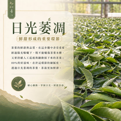 阿里山玉樹臨風 高山烏龍茶
