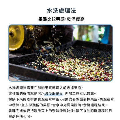 肯亞 基里尼亞加 卡賓加拉AA TOP 水洗