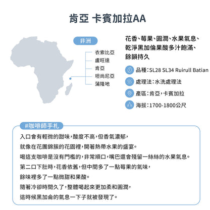 肯亞 基里尼亞加 卡賓加拉AA TOP 水洗