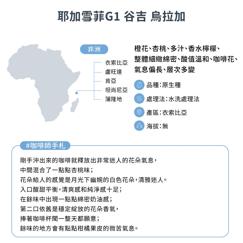 衣索比亞 耶加雪菲G1 谷吉 烏拉加 日曬